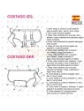 MOLDE CAPA MASCOTA ACC2215M