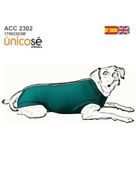 MOLDE BODY POST OPERATORIO ACC 2302M