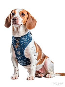 MOLDE ARNES AJUSTABLE MASCOTA ACC 2407