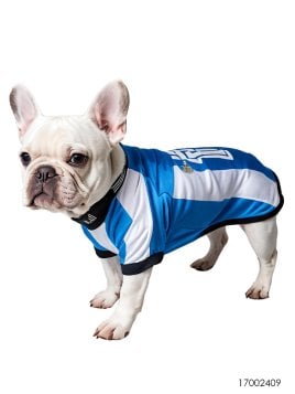 MOLDE CAMISETA FUTBOL MASCOTA ACC 2409