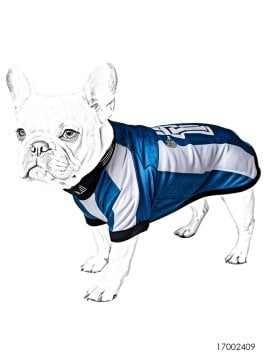 MOLDE CAMISETA FUTBOL MASCOTA ACC 2409