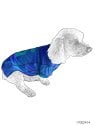 MOLDE CAMISETA MASCOTA ACC 2414