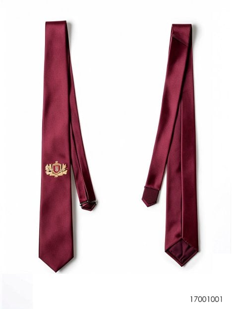 ACCESORIO CORBATA 1001