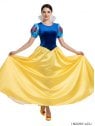 DISFRAZ PRINCESA DE CUENTO ADULTO 0901