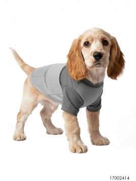 MOLDE CAMISETA MASCOTA ACC 2414