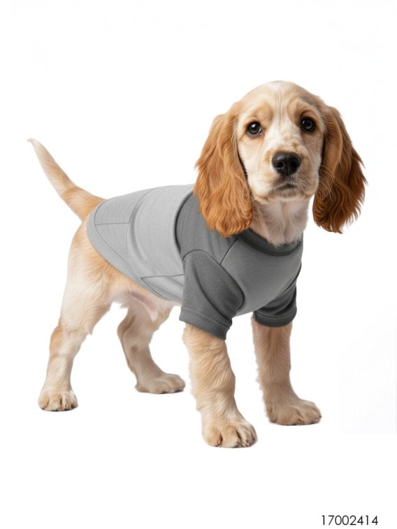 MOLDE CAMISETA MASCOTA ACC 2414
