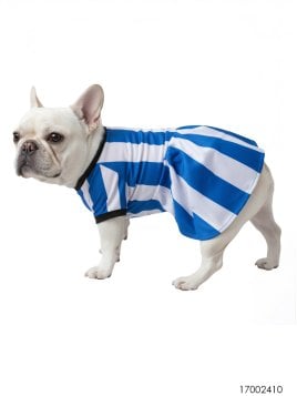 MOLDE CAMISETA FUTBOL MASCOTA ACC 2410