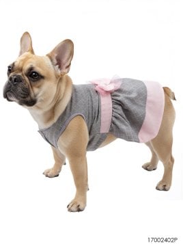 MOLDE VESTIDO MASCOTA ACC 2402P