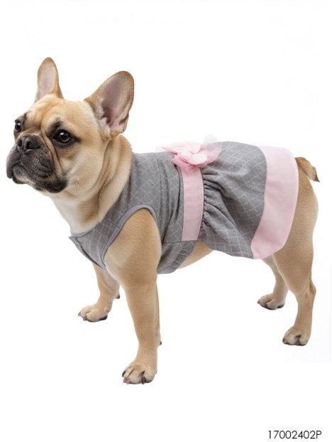 MOLDE VESTIDO MASCOTA ACC 2402P