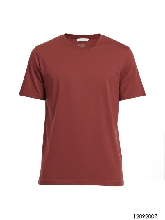 MOLDE POLERA BASICA HOMBRE 2007