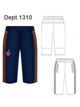 DEPORTE BERMUDA FUTBOL  1310